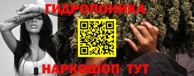 индика Ангарск