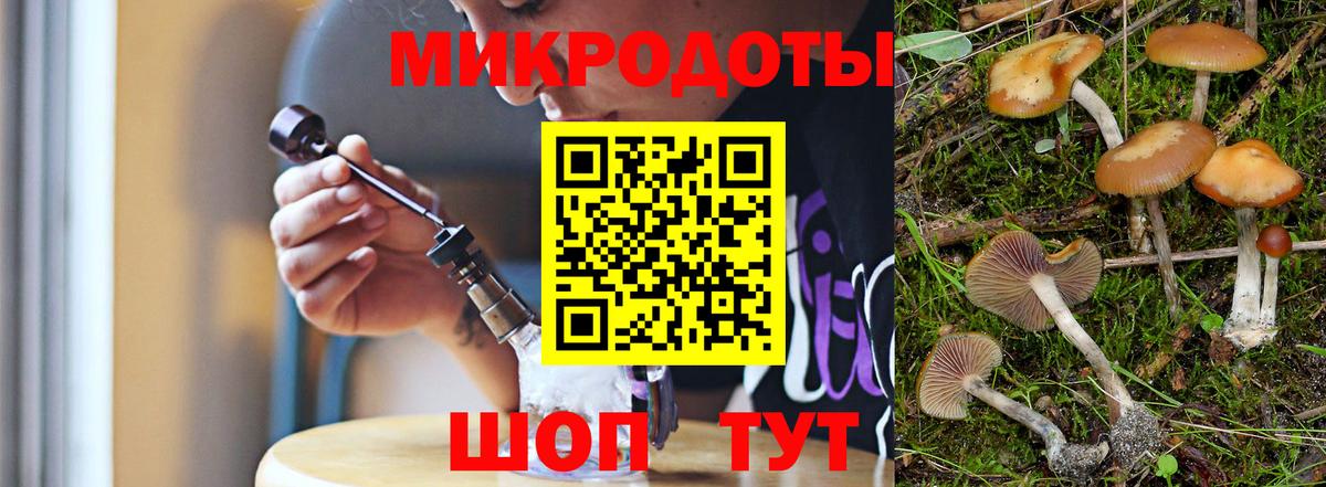 Галлюциногенные грибы мухоморы Знаменск