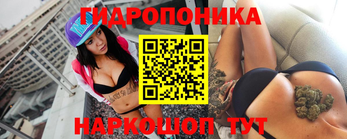 Каннабис конопля Знаменск